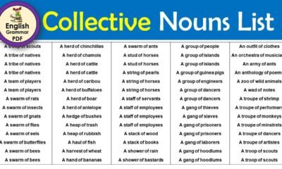 Guide to Collective Nouns: "A Flock