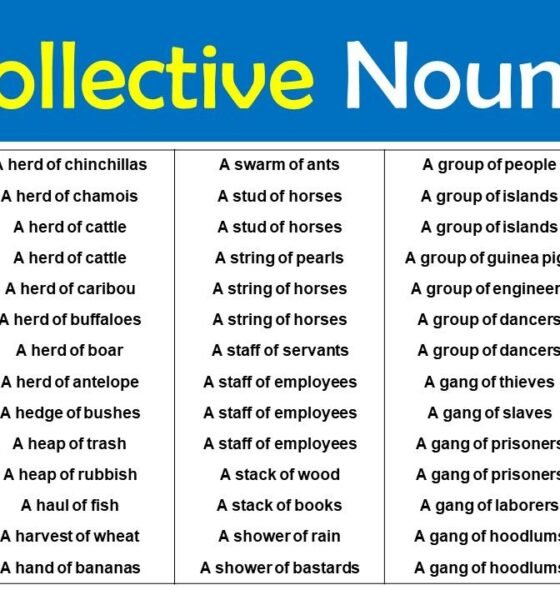 Guide to Collective Nouns: "A Flock