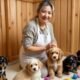 great danoodle breeder