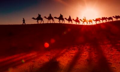 Desert Safari in Dubai