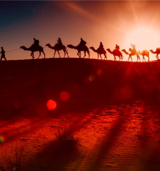 Desert Safari in Dubai